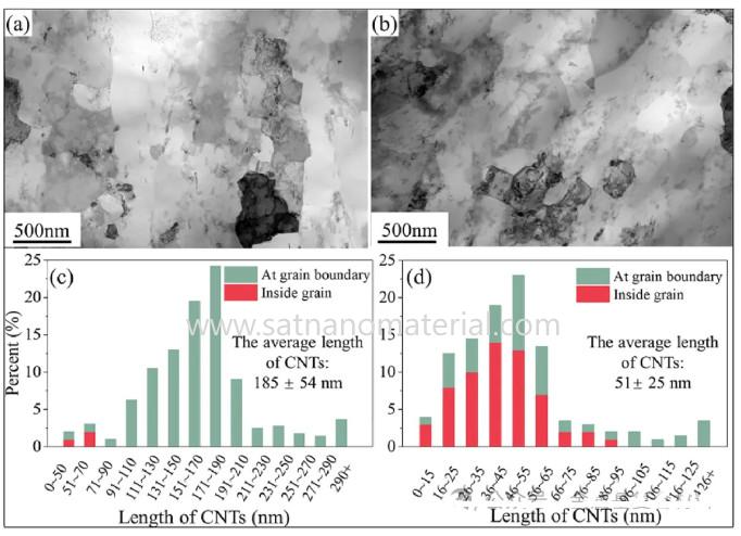 carbon nanotube