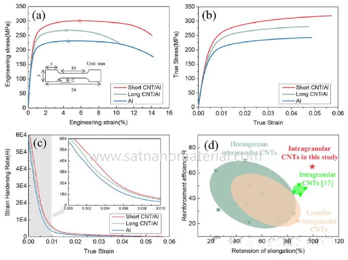 carbon nanotube