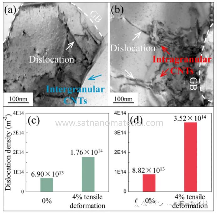 carbon nanotube